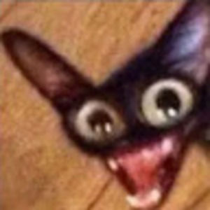 Meet your Posher, Lillian